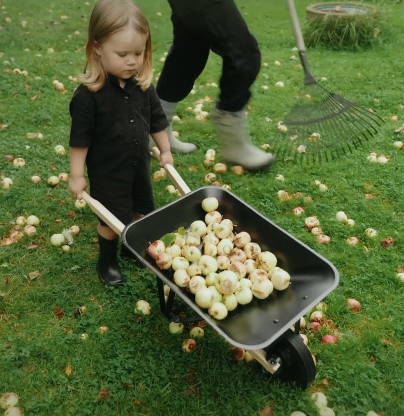 Wheelbarrow Mini